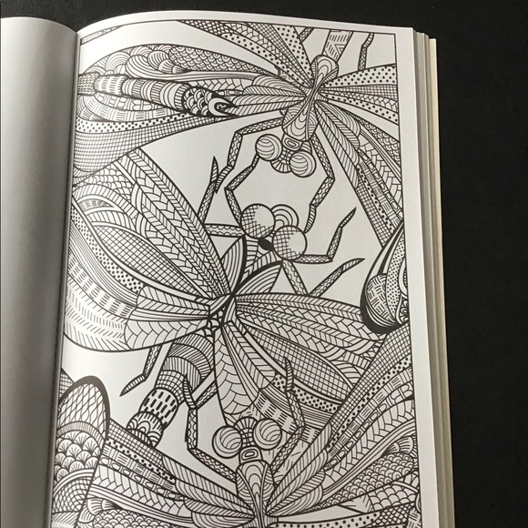 Coloring book - Picture 5 of 6